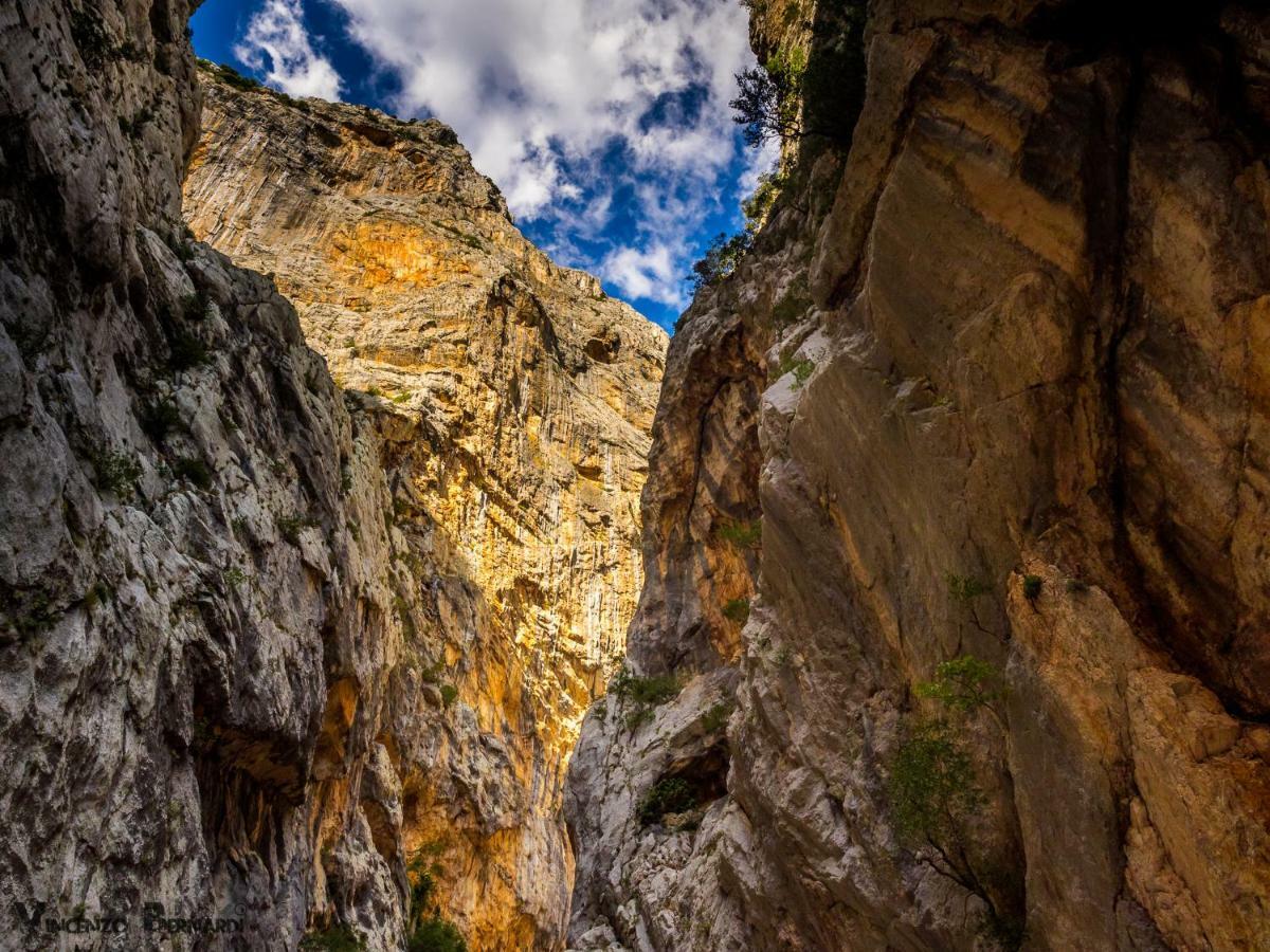 Villa Sangemi Àrbatax Dış mekan fotoğraf